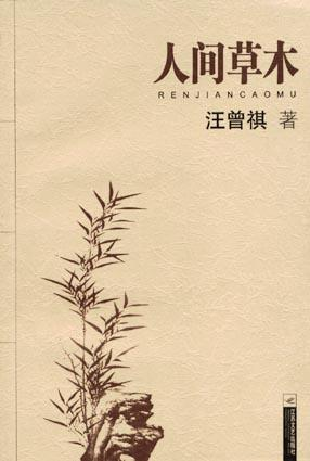 lewin乐玩官网-相信品牌力量